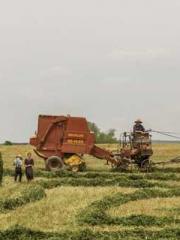 Do not deprive me of