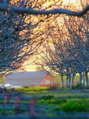 Transmigration: Feel