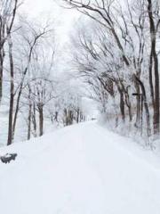 Grave Robbing: Openi Grave Robbing: Openi