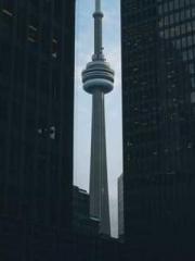 Grave Robbing: Openi