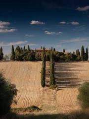 The Taoist nun was f