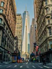 One Night Marriage P