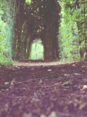 Fast Travel: The Vil Fast Travel: The Vil