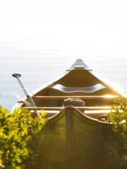 lt;Liang Yimo Cold N