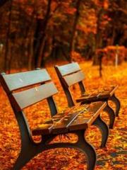 I have seven fairy g